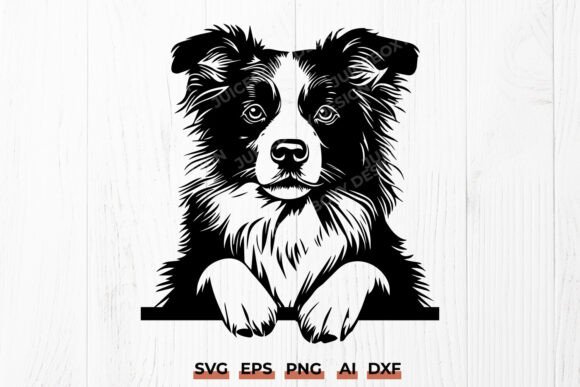 Border Collie SVG Herding Dog Clipart Review