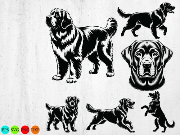 Golden Retriever Svg Bundle Review for Embroidery Projects