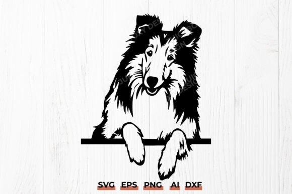 Peeking Rough Collie SVG Sheltie Dog Review