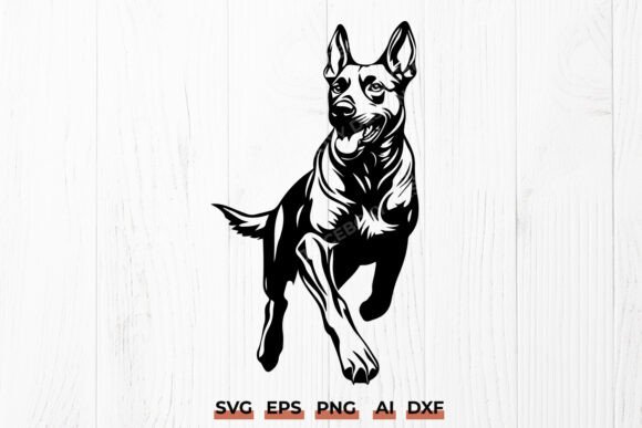 Running Belgian Malinois SVG K9 Dog Review