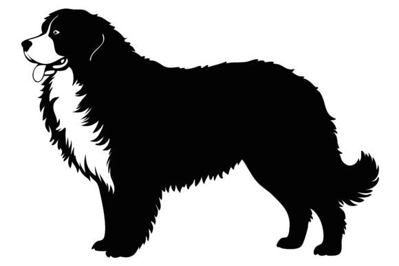 Silhouette of Fluffy Dog Breed Pet SVG Review